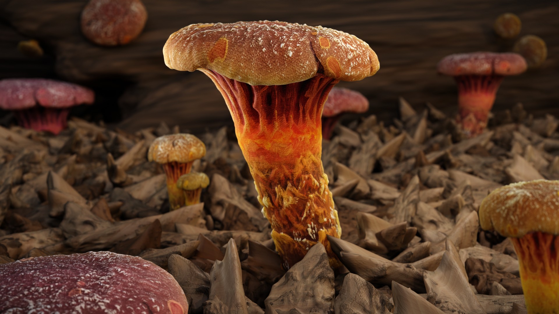 mushrooms